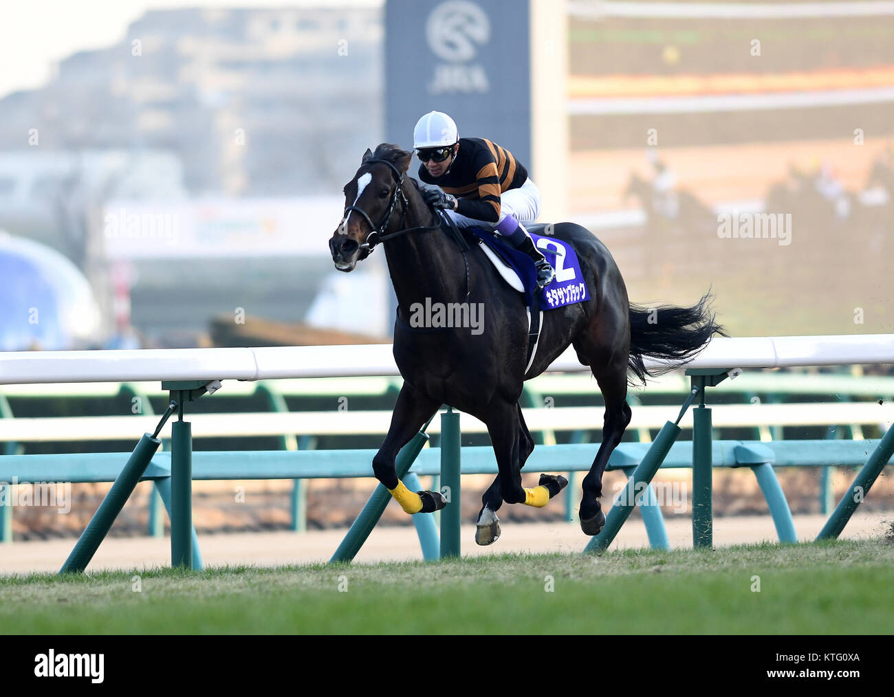 Porno mast talabani sikish