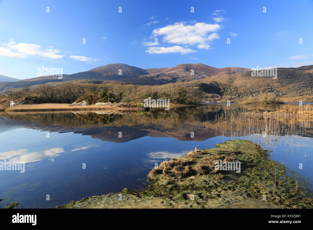 Tranquil scenic view hi-res stock photography and images - Alamy