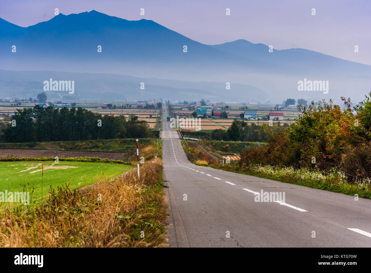 Long road, Furano, Hokkaido, Japan Stock Photo