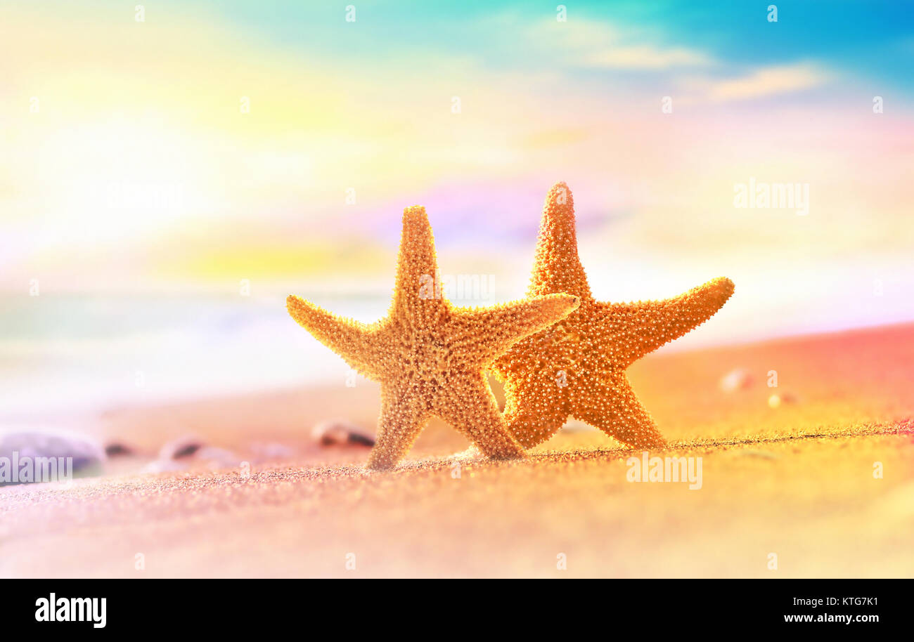 Starfish on the sandy beach at ocean background Stock Photo - Alamy