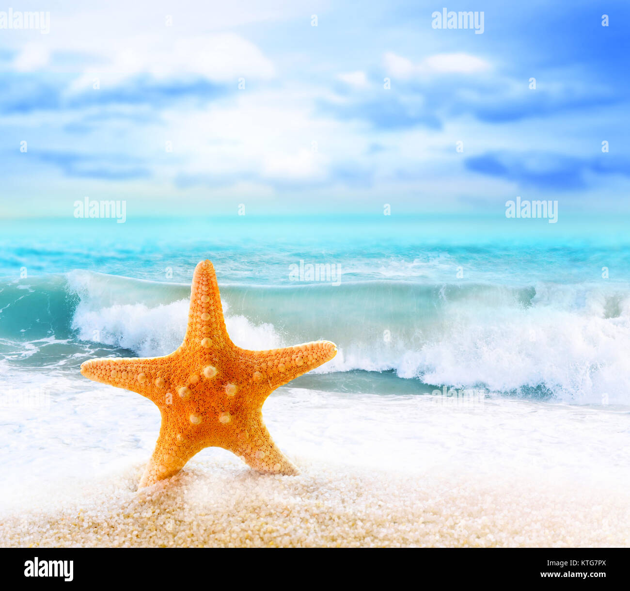Starfish on the sandy beach at ocean background Stock Photo - Alamy