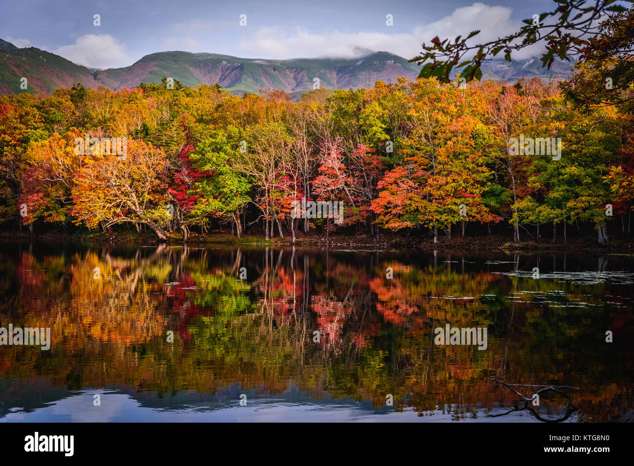 The autumn colors reflected in a lake at Shiretoko, Hokkaido, Japan Stock Photo