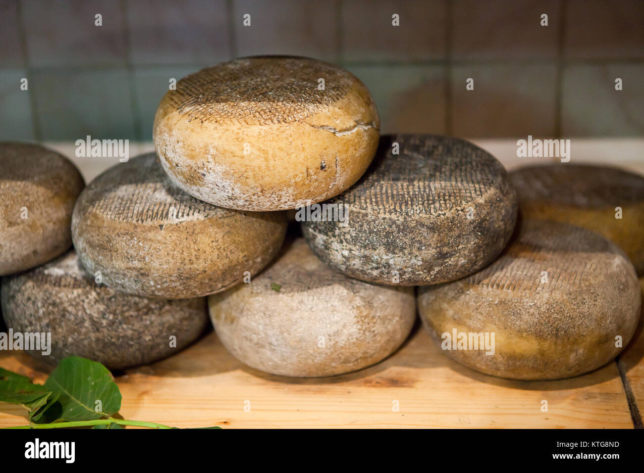 Typical Tuscany Cheese Pecorino of Pienza Stock Photo Alamy