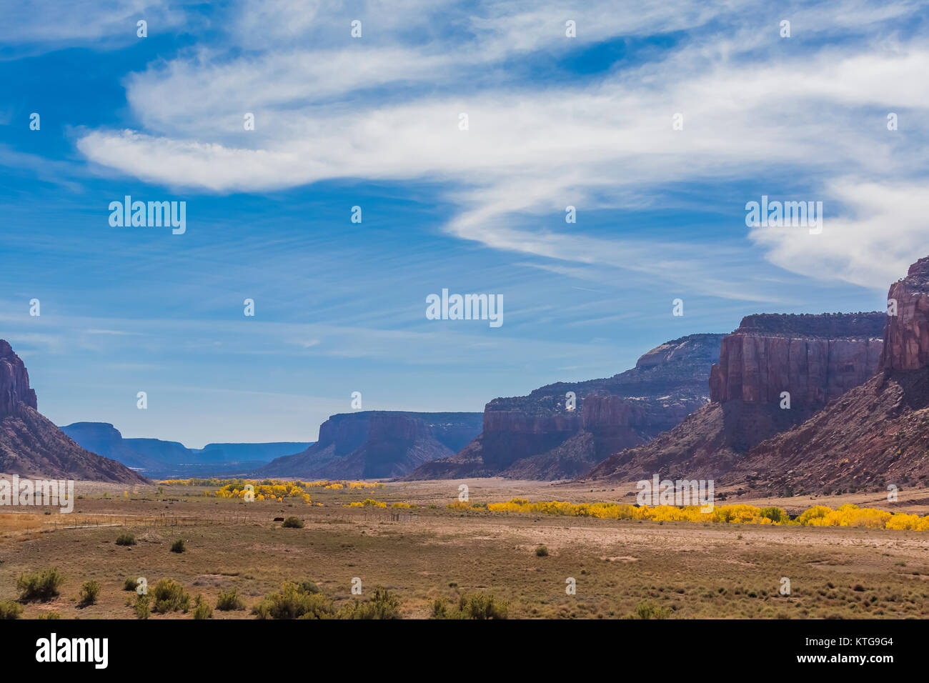 Beef Basin, in (or near) Indian Creek National Monument, formerly part