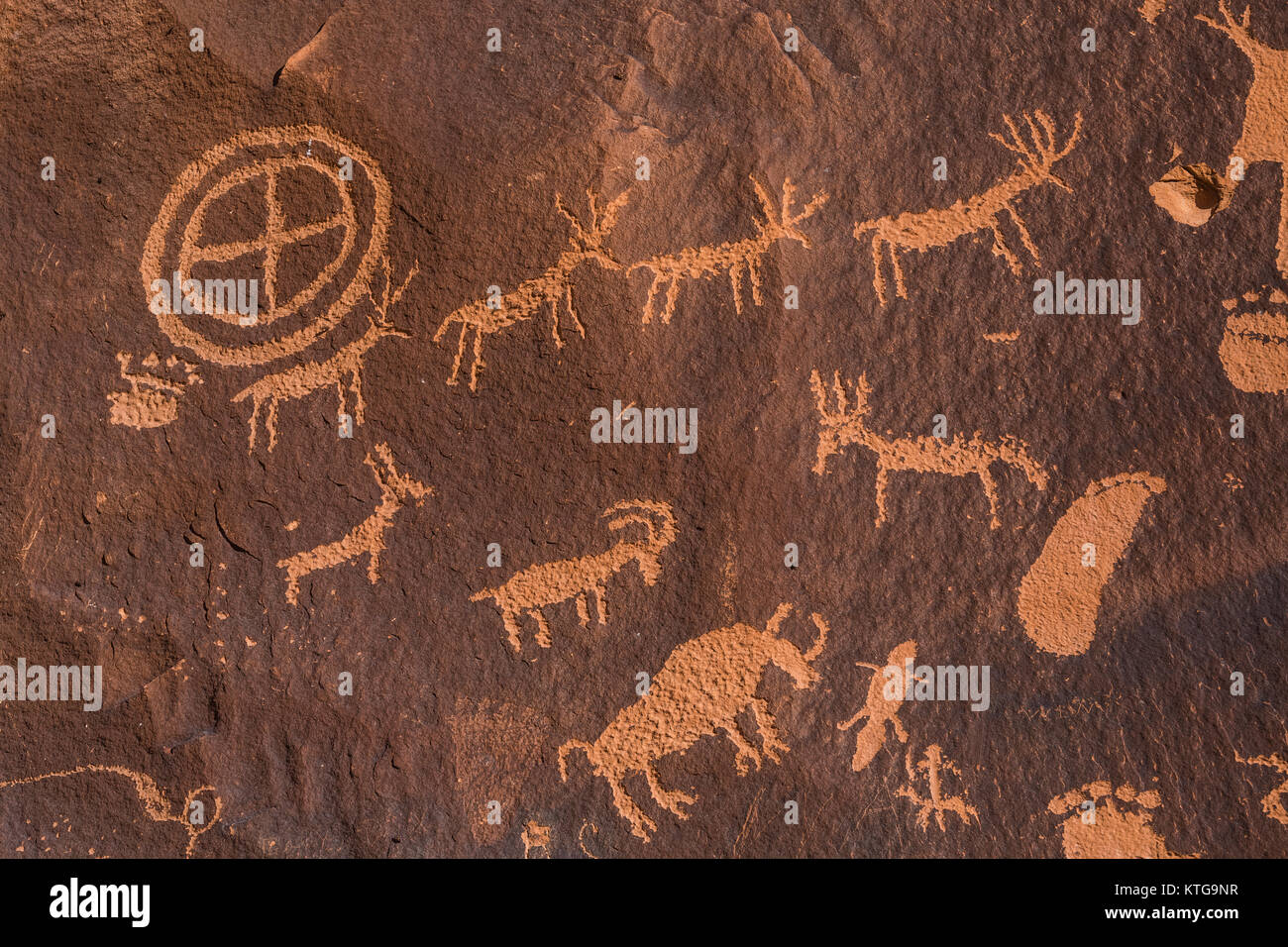 Animal petroglyphs made by Ute People near Newspaper Rock in Indian Creek National Monument, southern Utah, USA Stock Photo