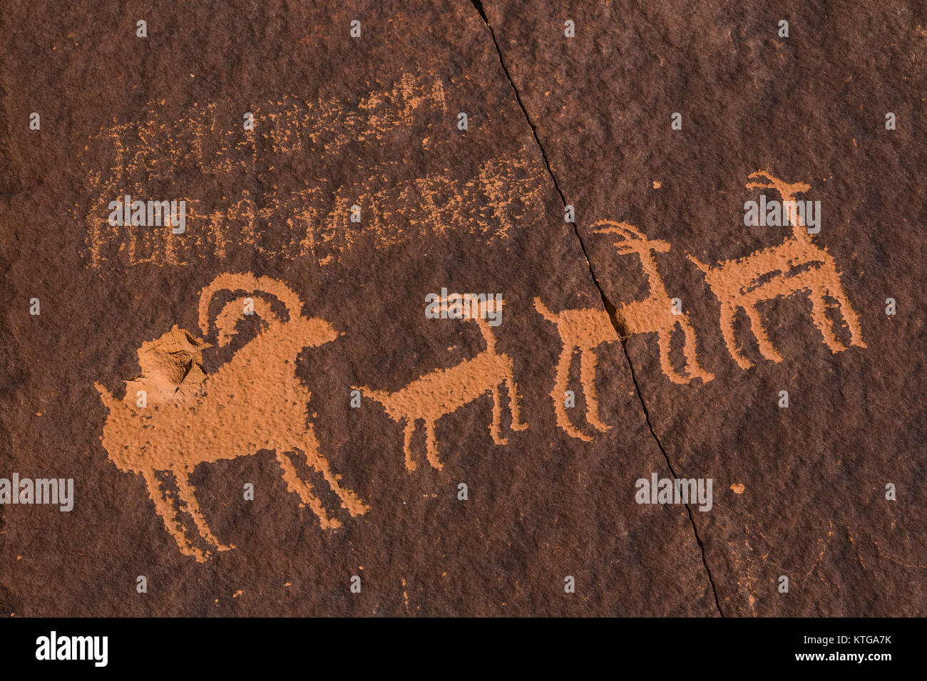 Bighorn Sheep petroglyphs made by Ute People at Newspaper Rock near Indian Creek National Monument, formerly Bears Ears NM, Utah, USA Stock Photo