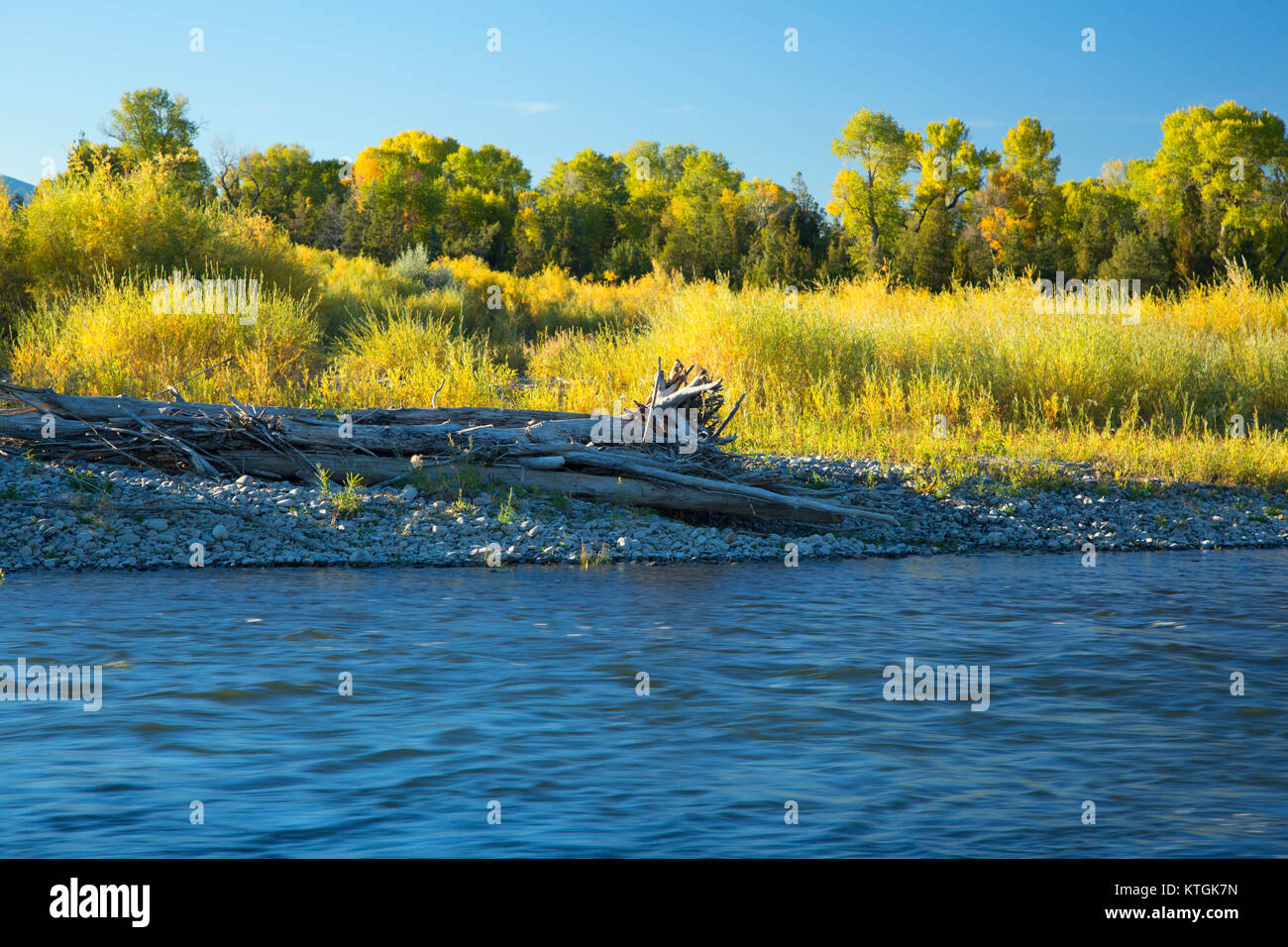 Missouri River, York's Islands Fishing Access Site, Broadwater County