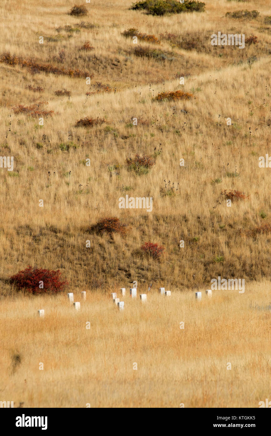U.S. soldier headstone markers, Little Bighorn Battlefield National Monument, Montana Stock Photo
