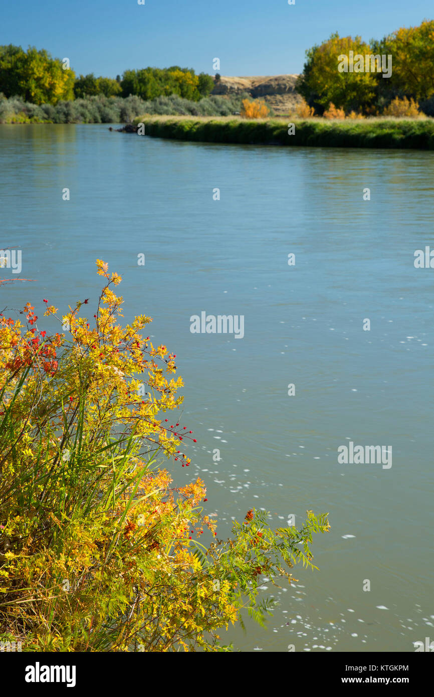Bighorn river hi-res stock photography and images - Alamy