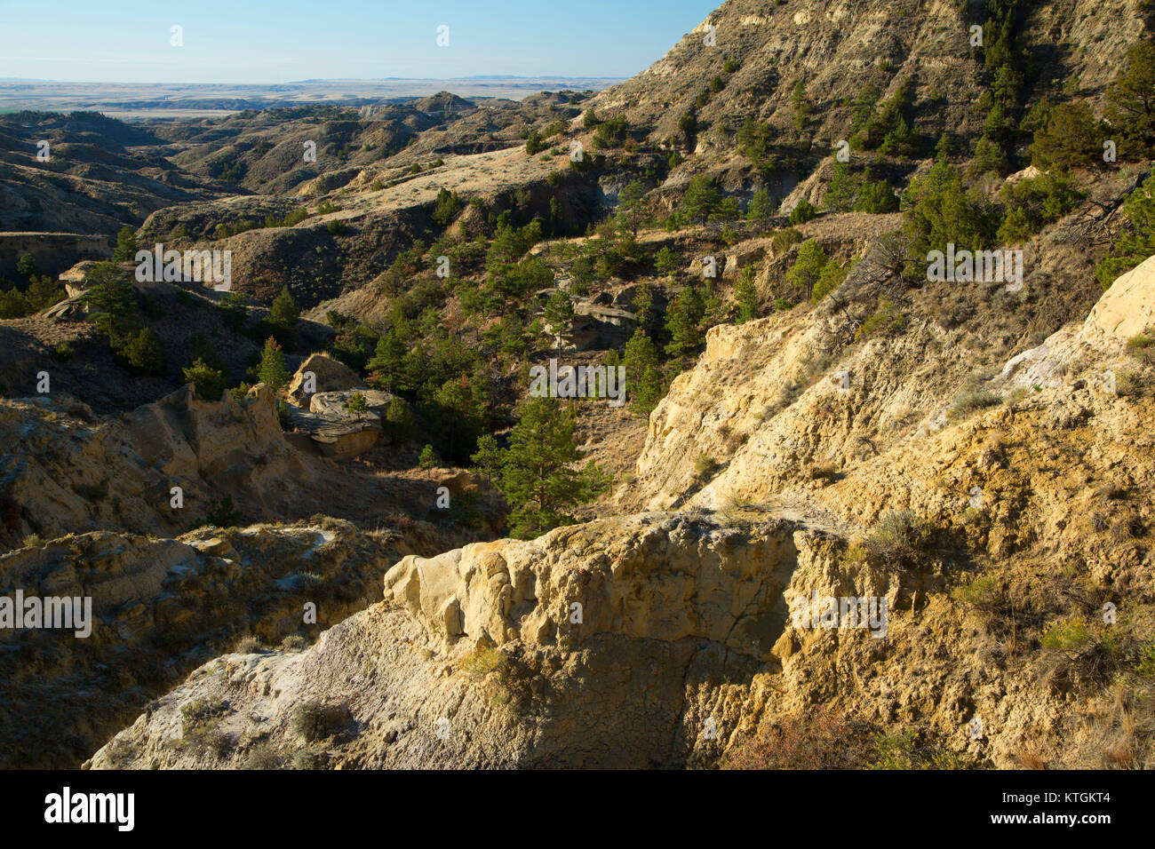 Terry Badlands, Terry Badlands Wilderness Study Area, Montana Stock ...