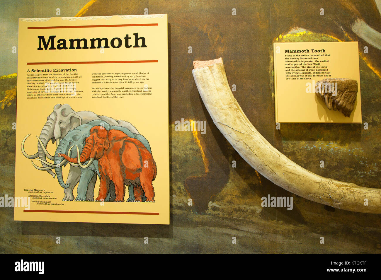 Visitor Center Mammoth Exhibit Makoshika State Park Montana Stock Photo Alamy