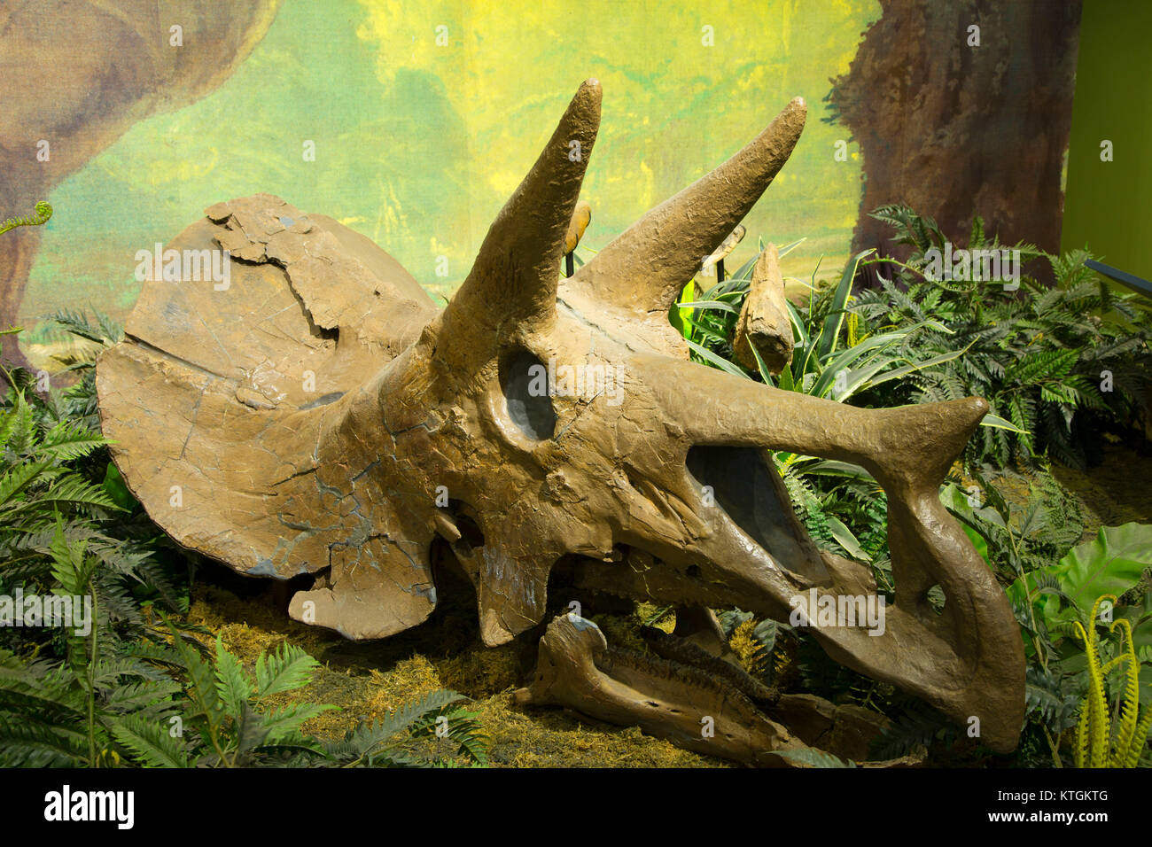Visitor Center dinosaur exhibit, Makoshika State Park, Montana Stock