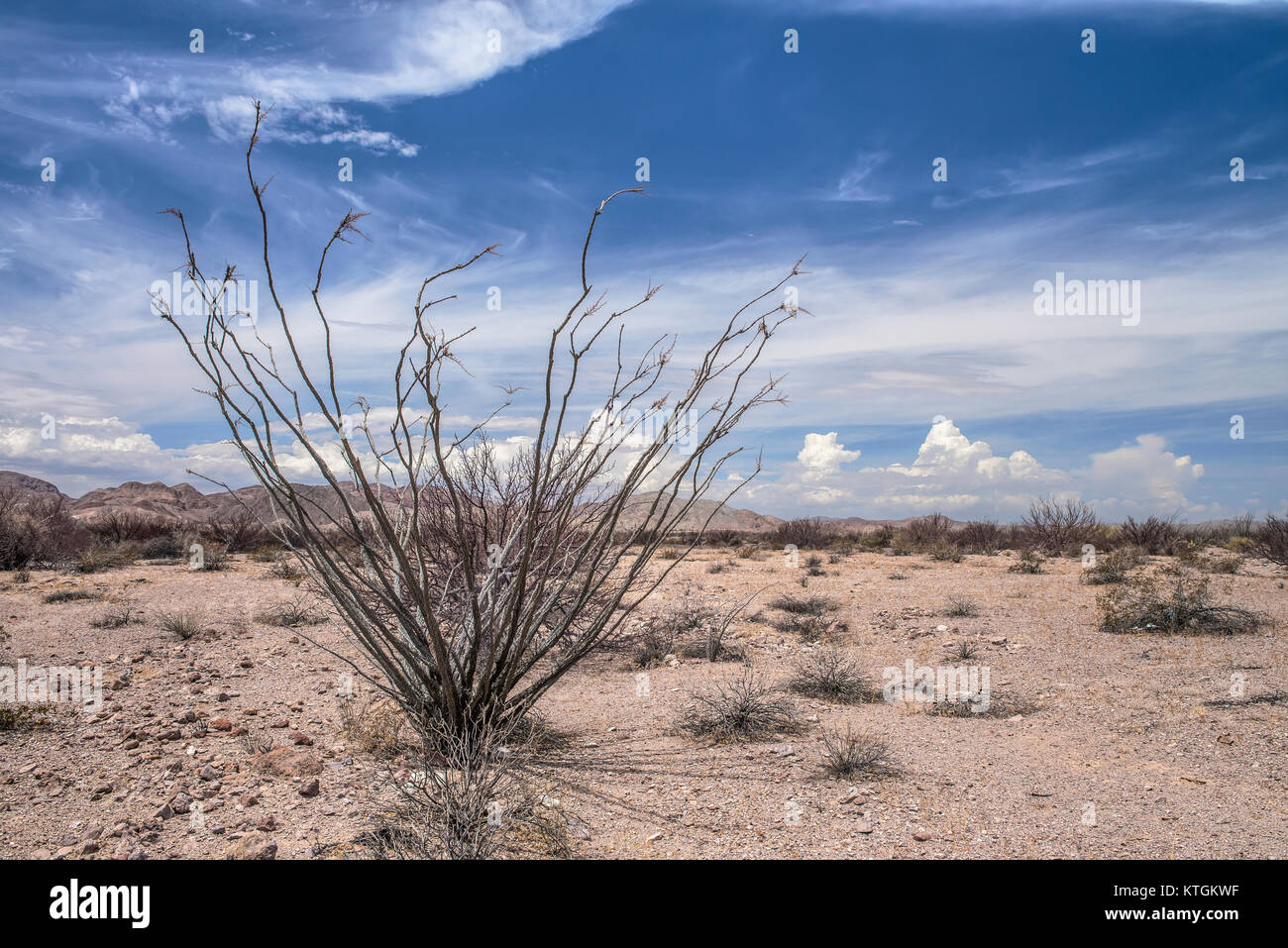 landscapes of baja california and baja california sur desert, MEXICO Stock Photo
