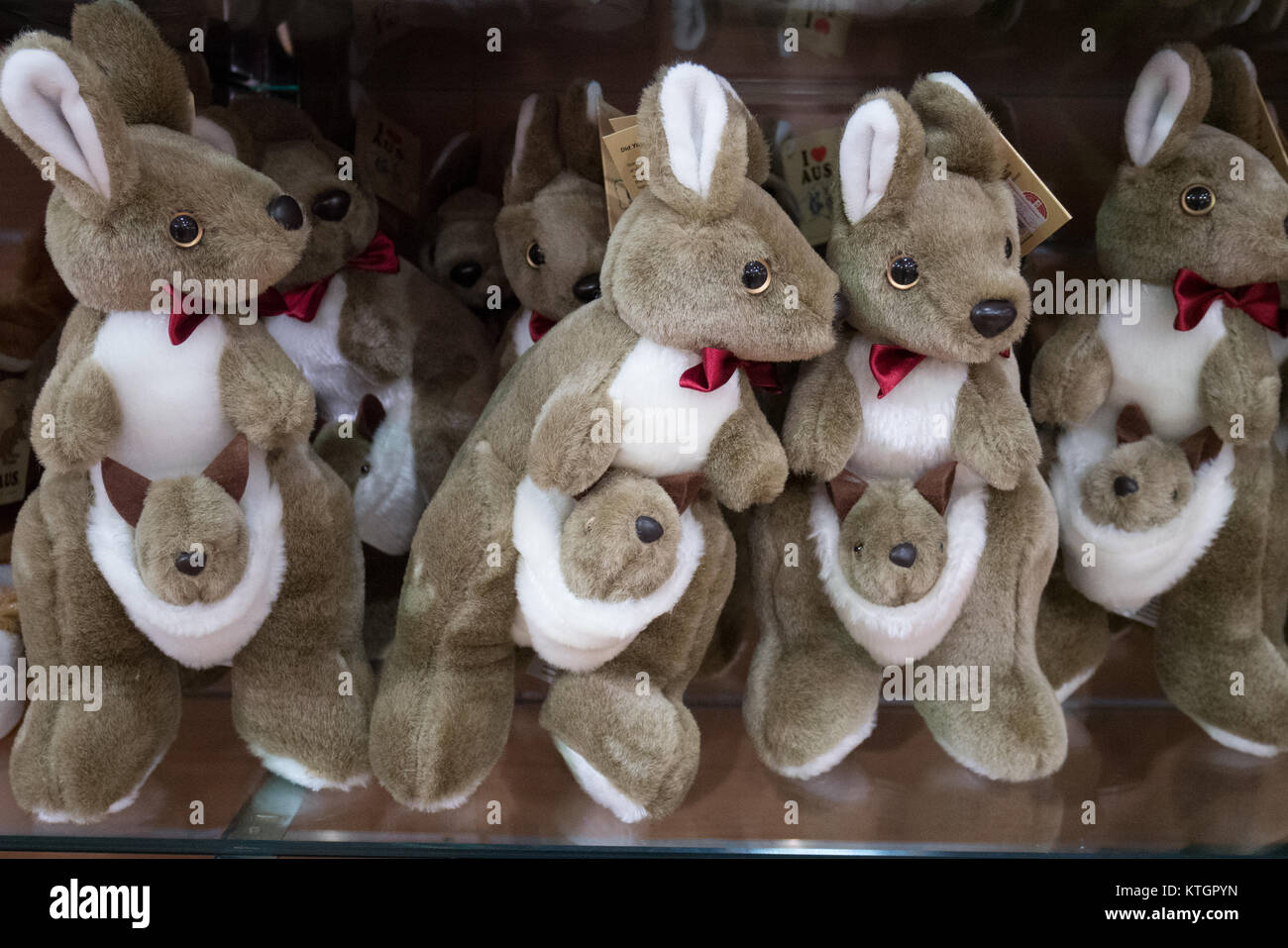 Kangaroo stuffed animal hi-res stock photography and images - Alamy
