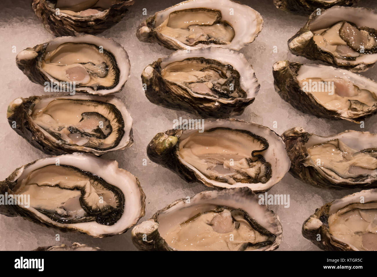raw oysters in sydney seafood market Stock Photo