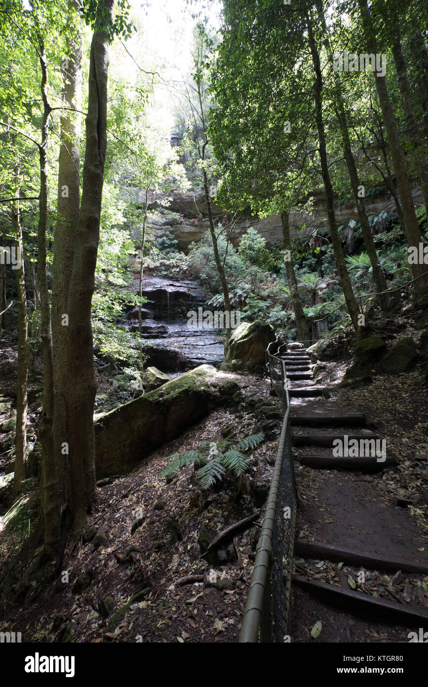 hiking trail at the blue mountains national park Stock Photo
