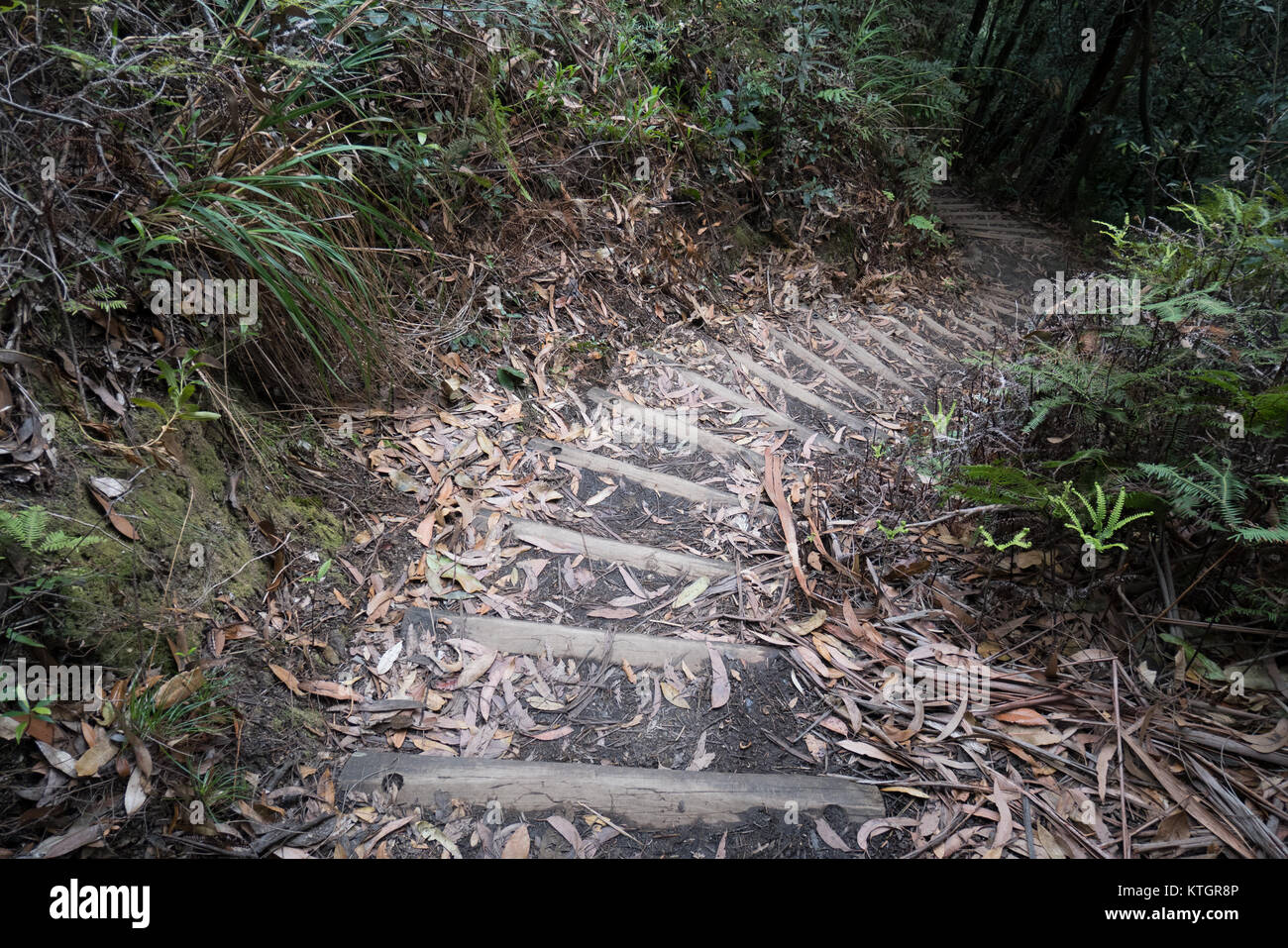 steep hiking trail Stock Photo