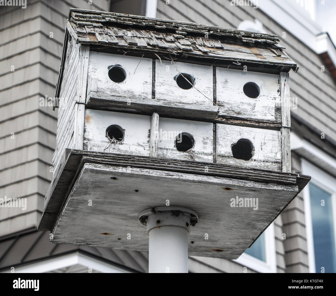Exterior daytime weathered white birdhouse resting atop metal pole in foreground and brown house in background in Long Beach Island, New Jersey Stock Photo