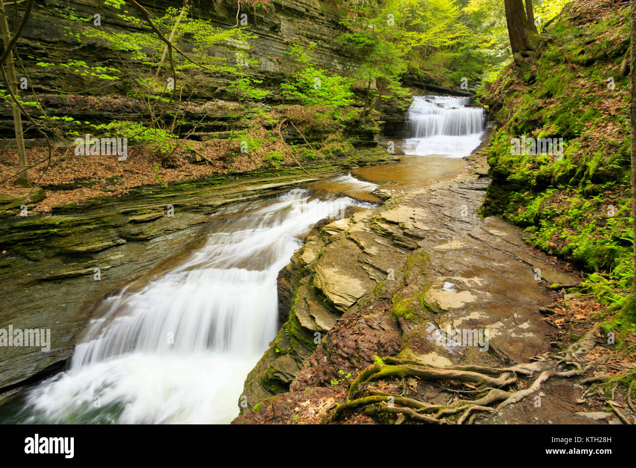 Buttermilk Falls State Park, Ithaca, Finger Lakes, New York, USA Stock Photo Alamy