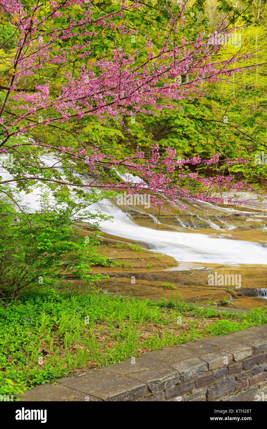 Buttermilk Falls State Park, Ithaca, Finger Lakes, New York, USA Stock