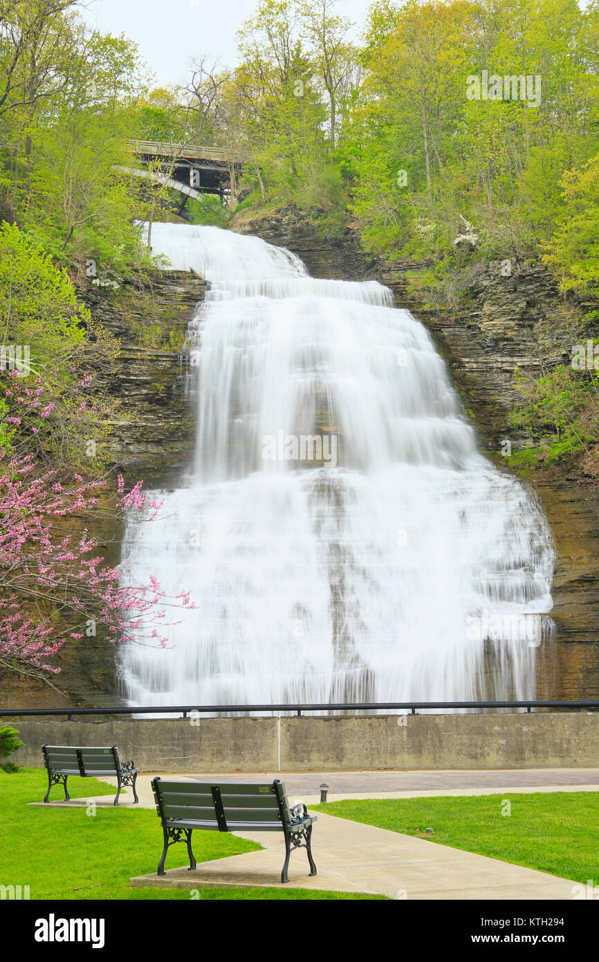 Red Bud and Montour Falls, Finger Lakes, Montour Falls, New York, USA