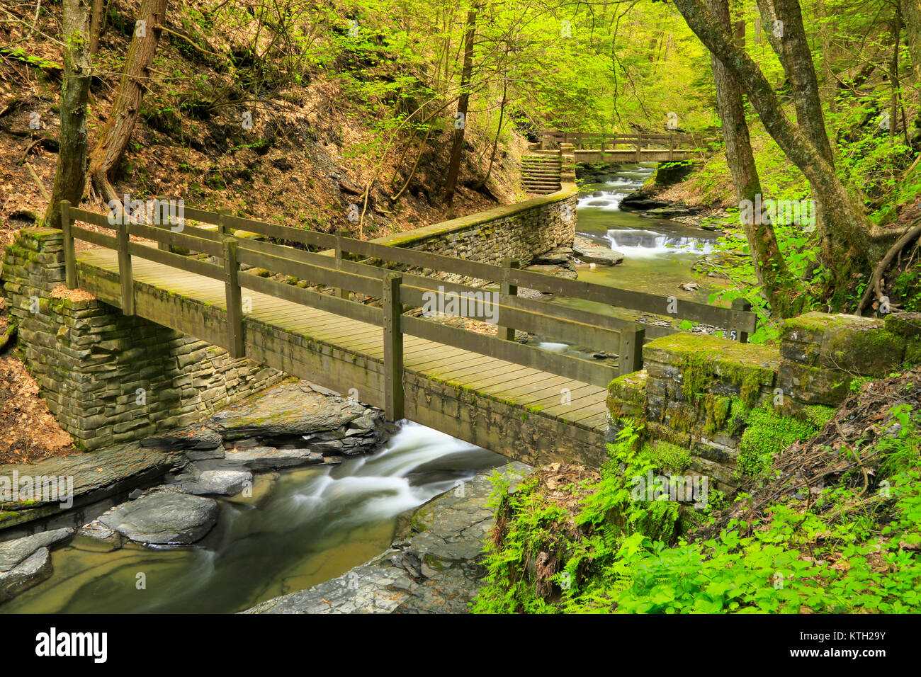 Trail, Filmore Glen State Park, Finger Lakes, Moravia, New York, USA Stock Photo Alamy