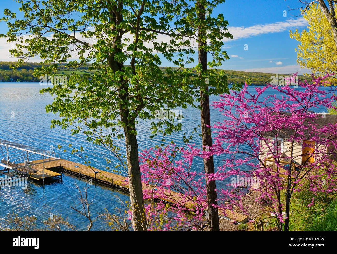Keuka Lake, Finger lakes, Penn Yan, New York, USA Stock Photo Alamy