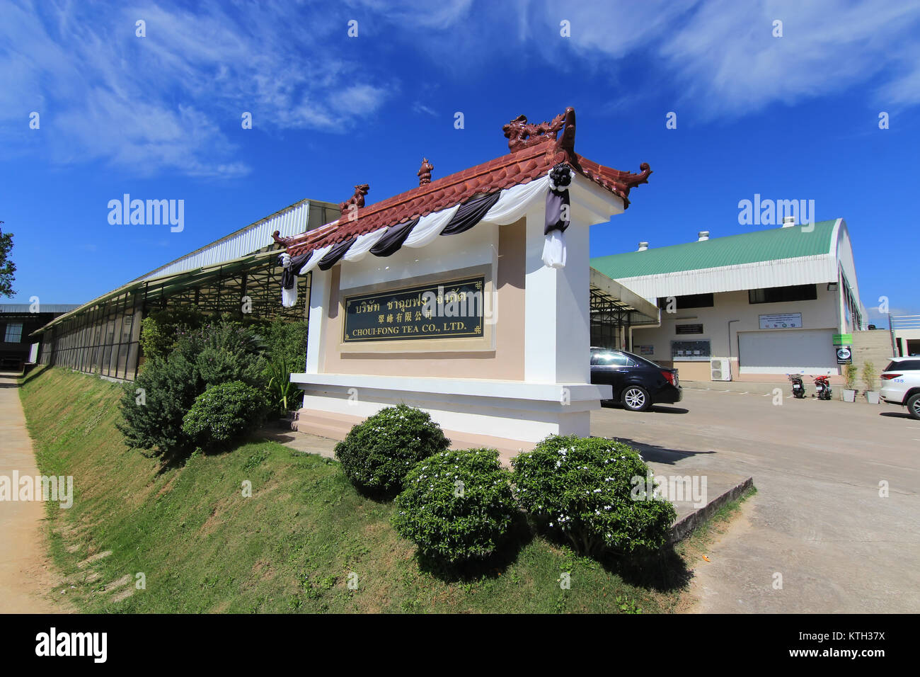 CHIANG RAI, THAILAND - November 22, 2016: Choui Fong Tea plantation is in Chiang Rai, Thailand. It's one of most popular destination for tourism trip  Stock Photo