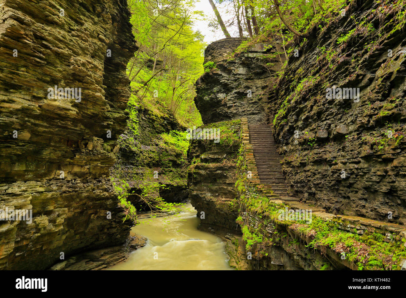 Trail, Watkins Glen State Park, Watkins Glen, New York, USA Stock