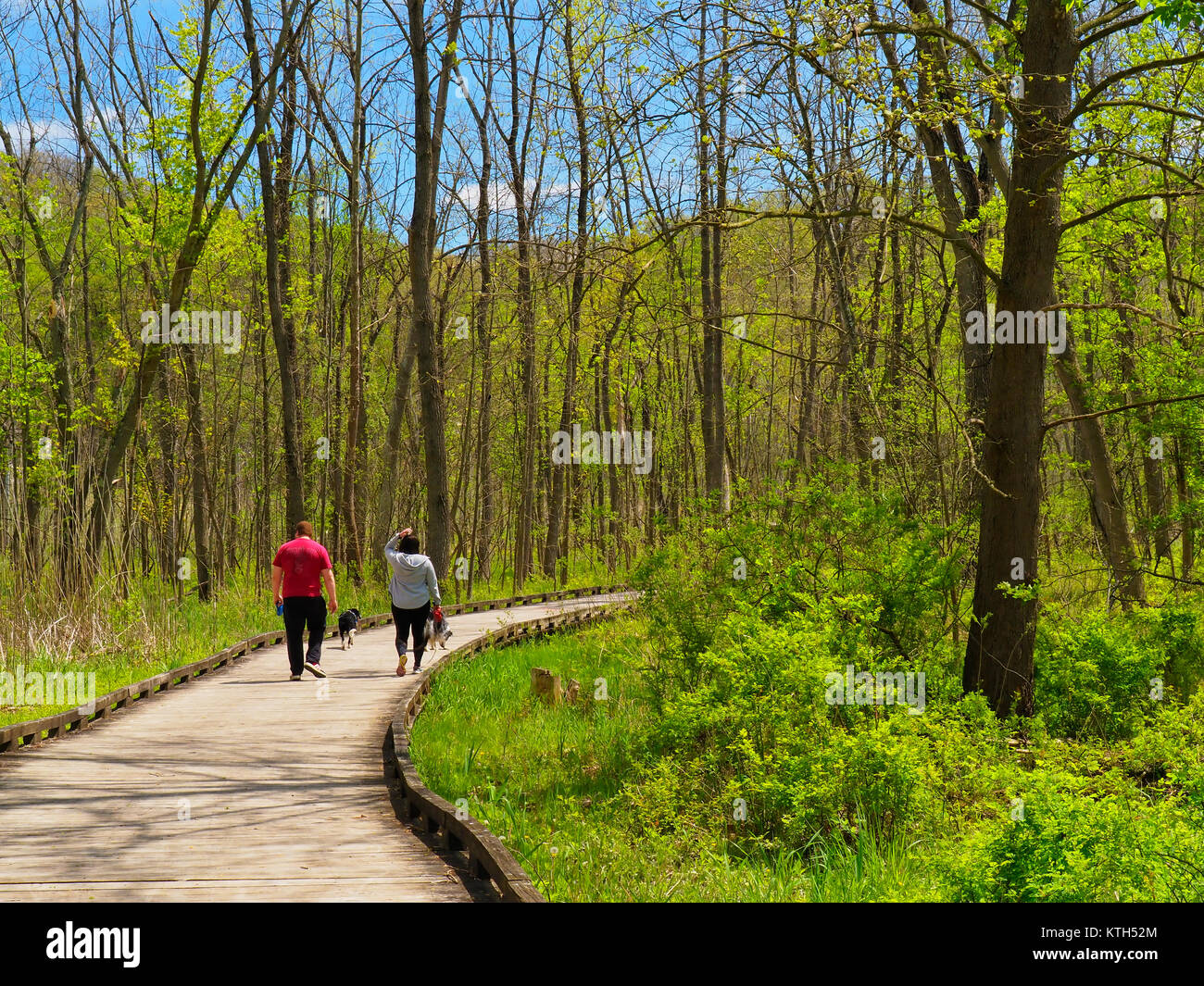Stumpy basin hires stock photography and images Alamy