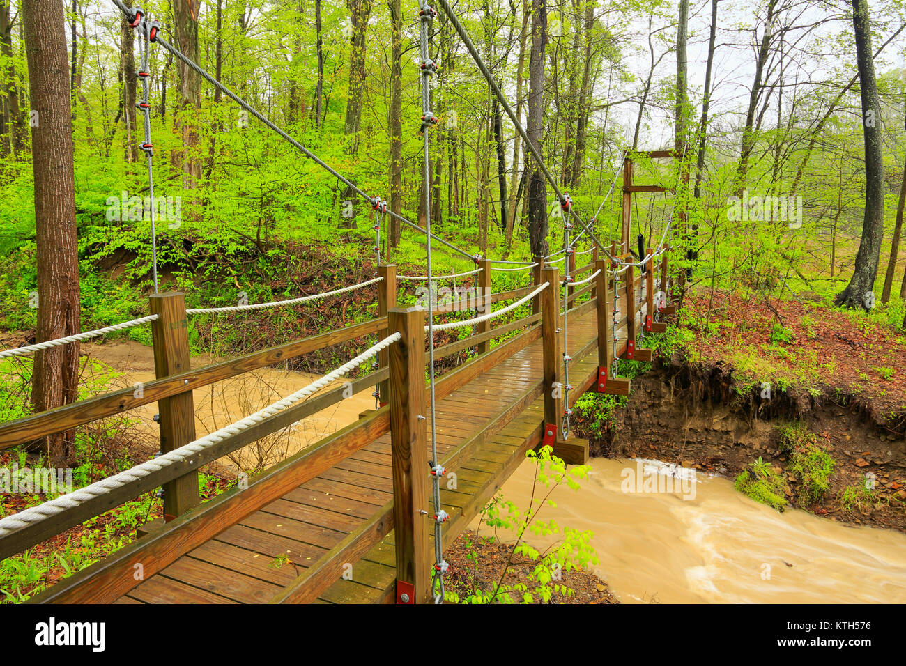 Chippewa Creek Trail, Brecksville Reservation, Cuyahoga Valley National