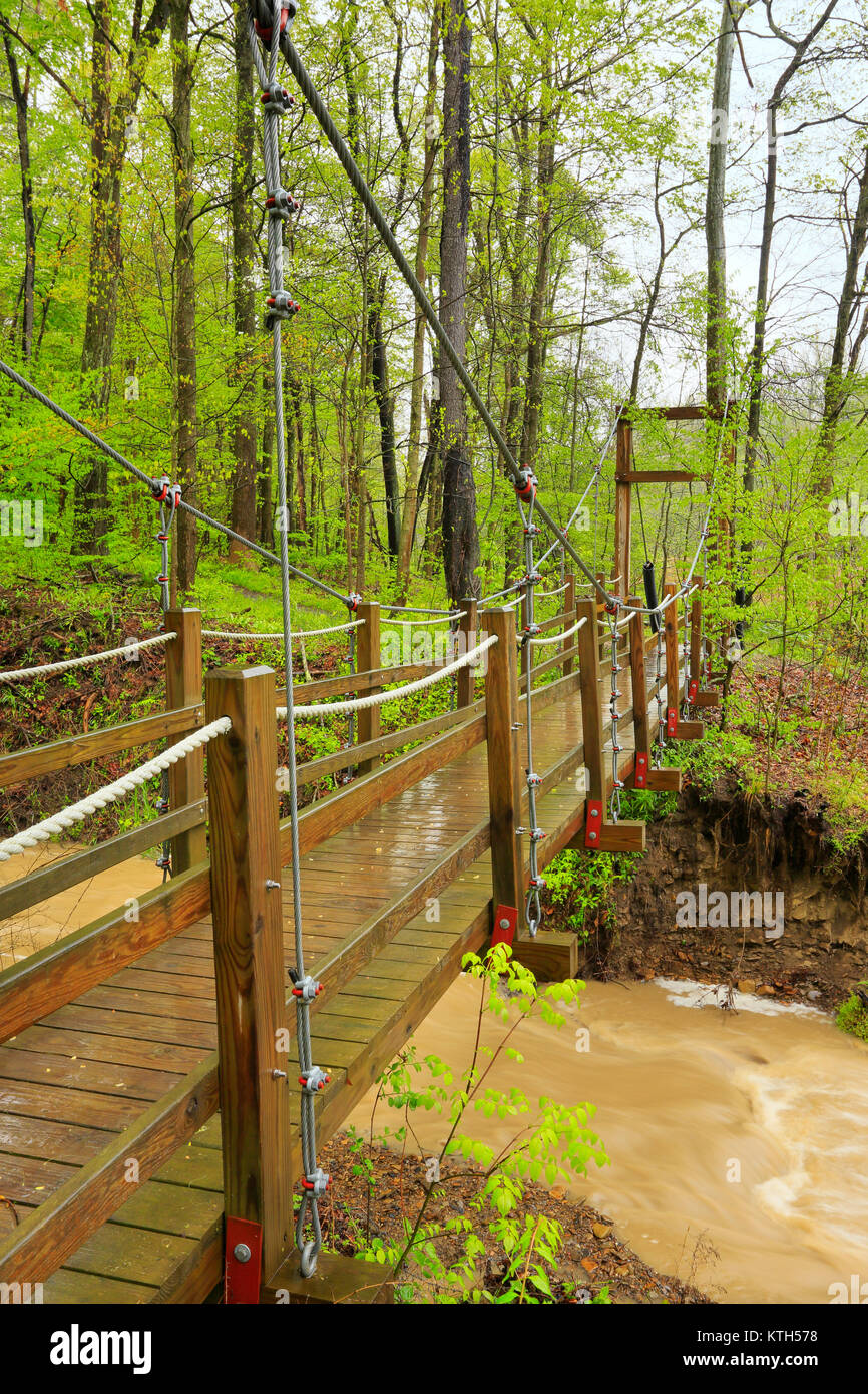 Chippewa Creek Trail, Brecksville Reservation, Cuyahoga Valley National