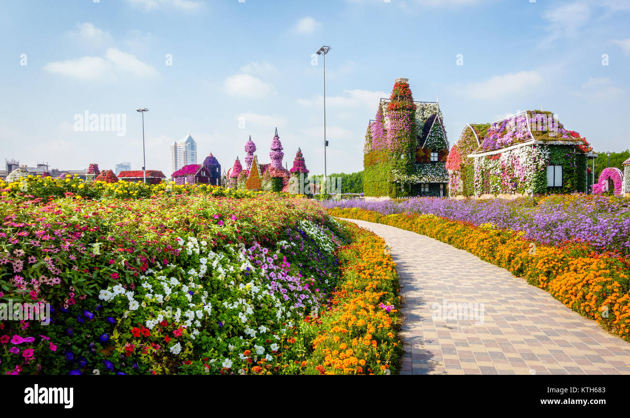 Dubai, UAE, January 22, 2016: Miracle Garden is one of the main tourist attractions in Dubai, UAE Stock Photo