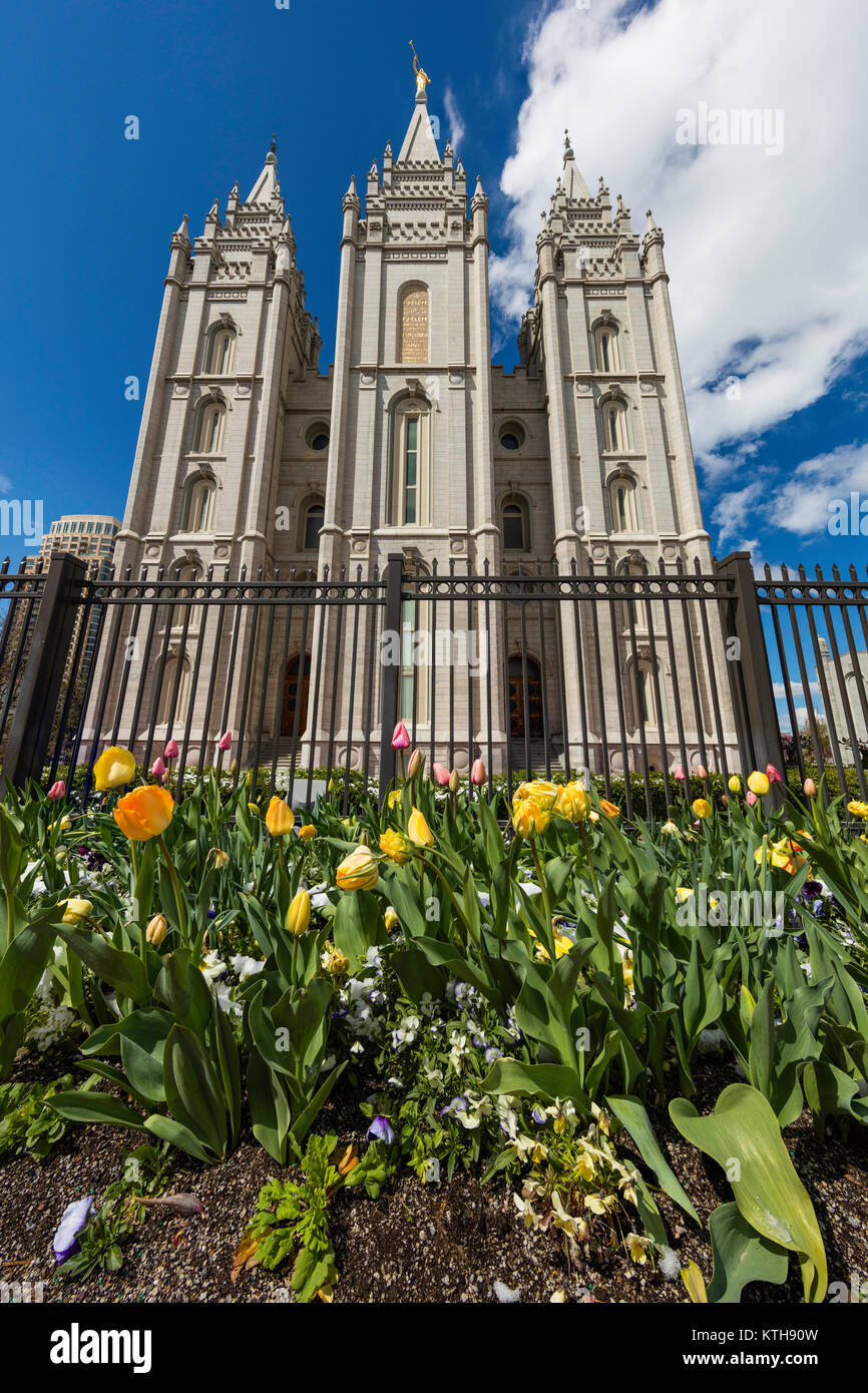 Spring flowers at Salt Lake Temple, Utah Stock Photo Alamy