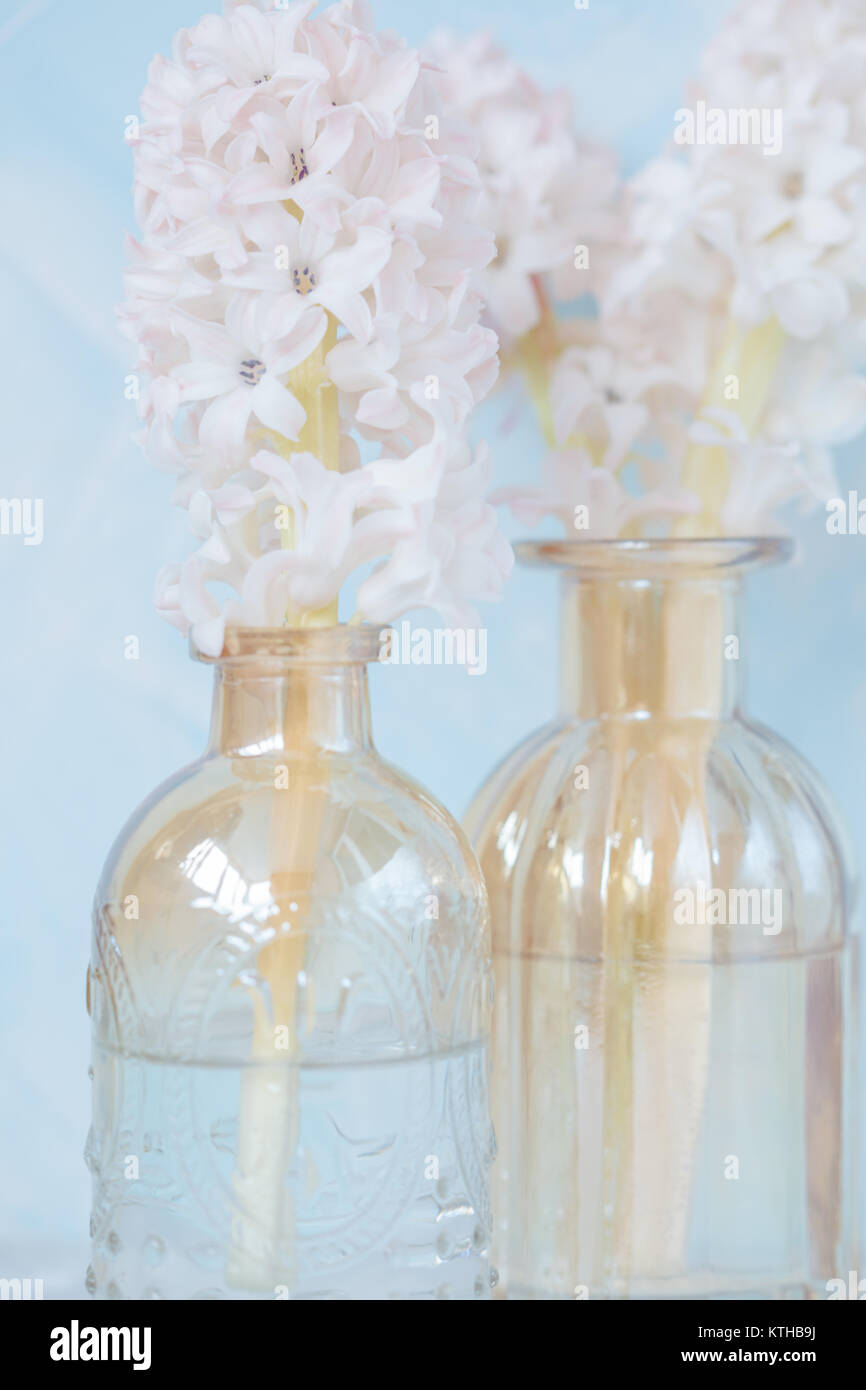 Delicate pink flowers in vintage vases, blue background. Gift for St. Valentine's Day concept. Stock Photo