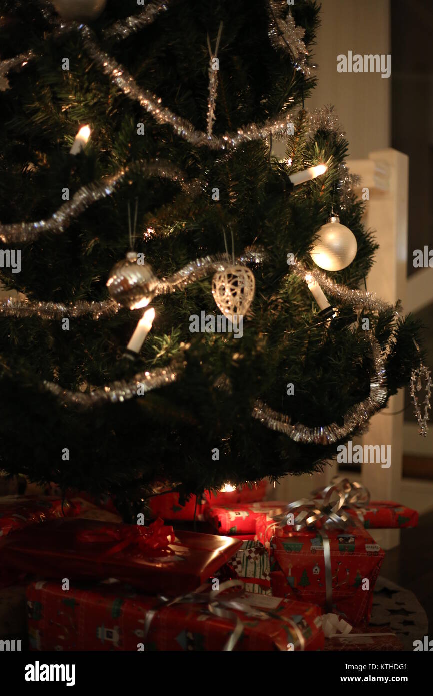 Norwegian Christmas Tree Stock Photos Norwegian Christmas Tree