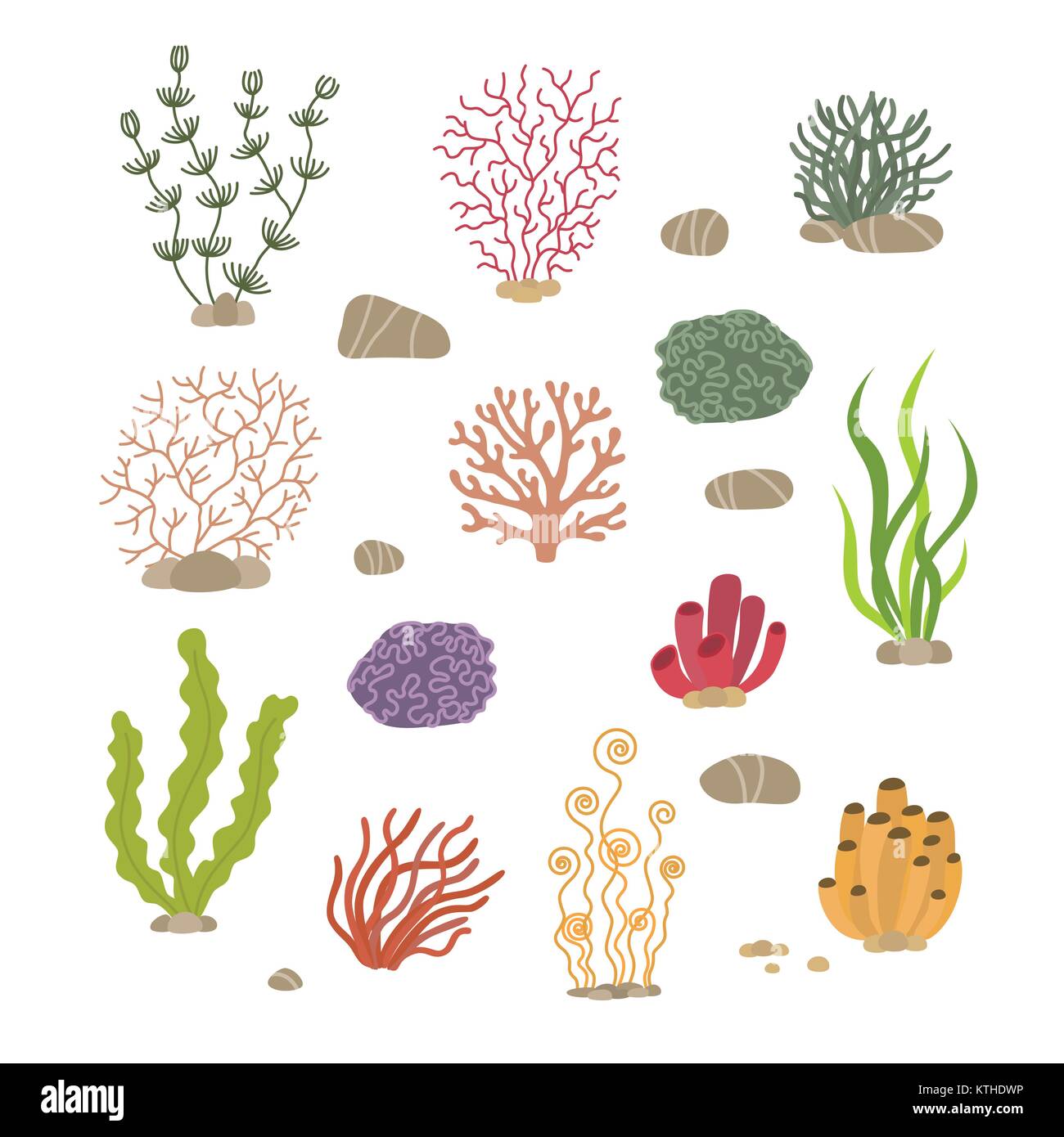 Marine plants. A - Lenticula marina or Gulph weed; B - Quercus Marina or Sea  Oak; C & D - Sea Oak Corallines; E - A Freshwater Polype; F & G -