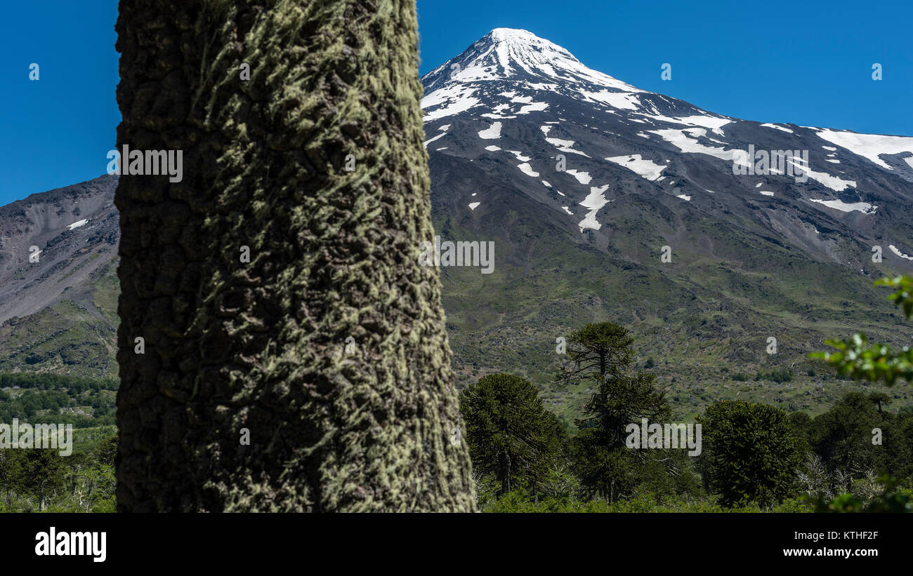 Volcán Lanin /Lanin volcano Stock Photo