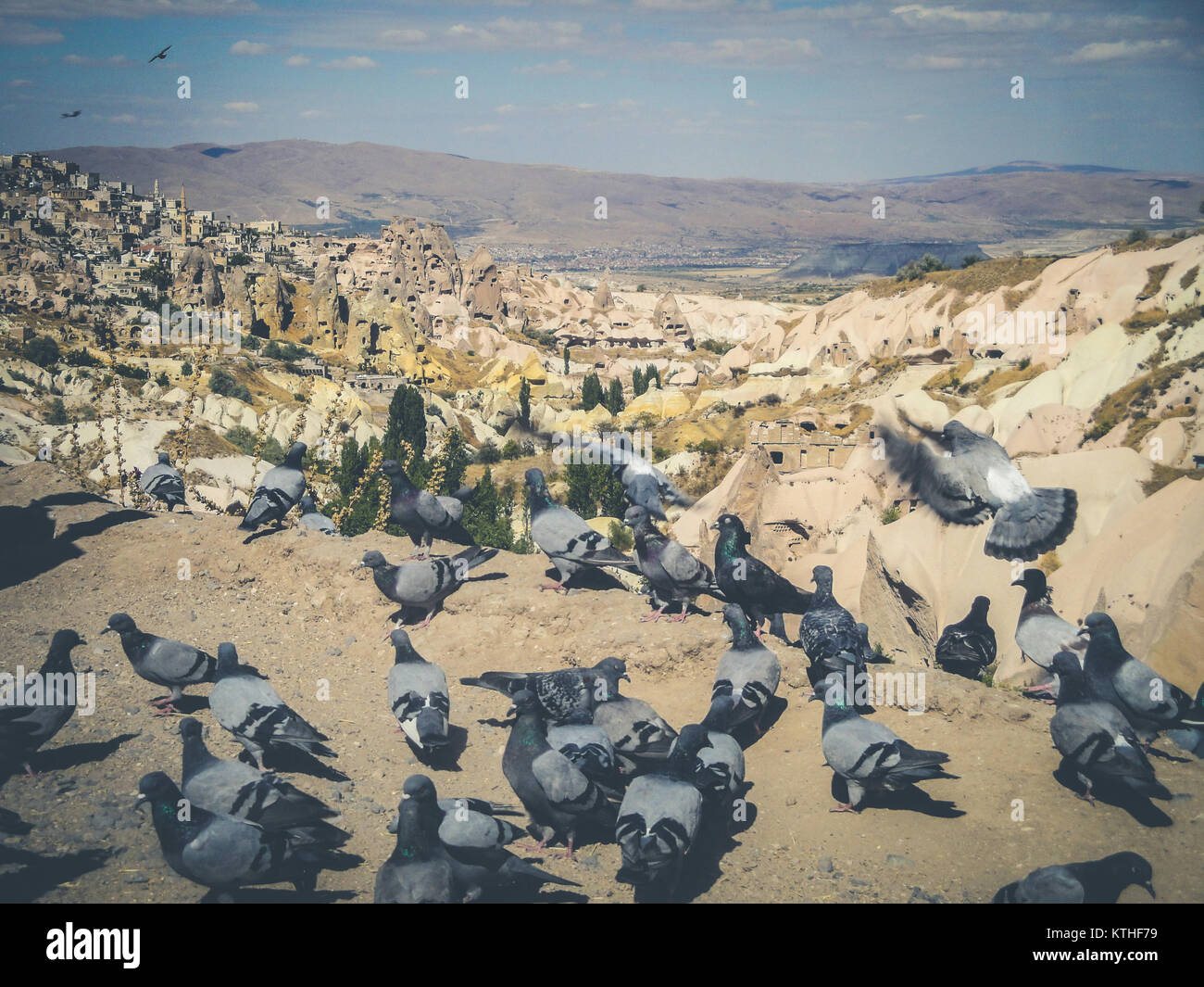 pigeons in rural mountain landscape, cappadocia, Turkey Stock Photo