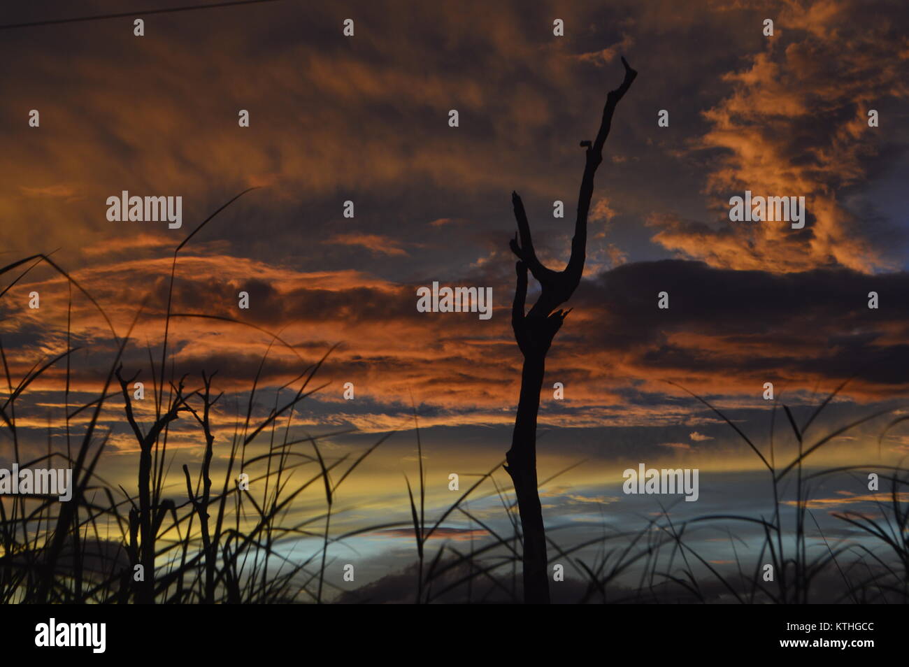 Beautiful natural sky with sunset and orange red glowing clouds in Cambodia Stock Photo