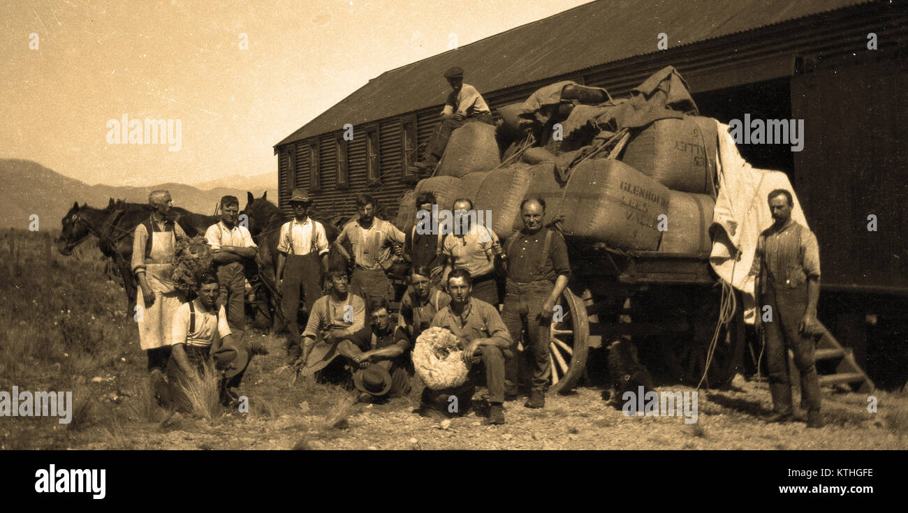 Load of wool bales and the team of shearers, probably Lees Valley, Canterbury, South Island, New Zealand, early 1900s Stock Photo
