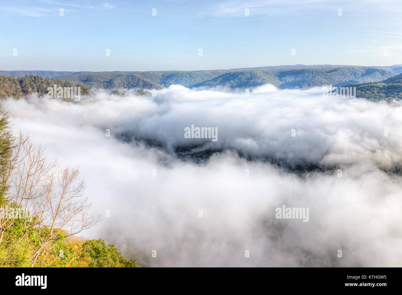 Mountains and fog, mist clouds in morning floating above forest trees ...