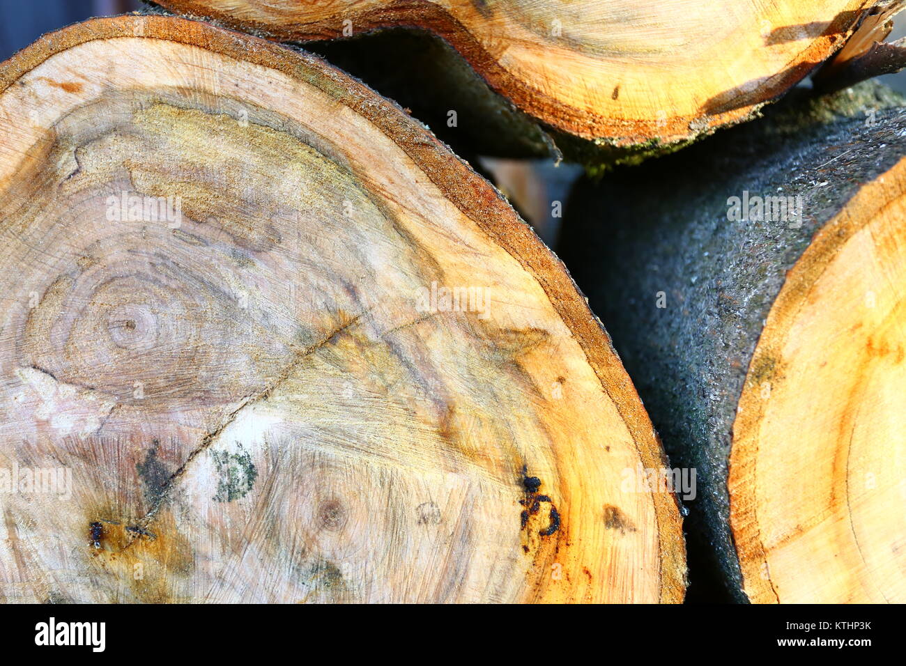 Alder woods cutted for fire place Stock Photo Alamy