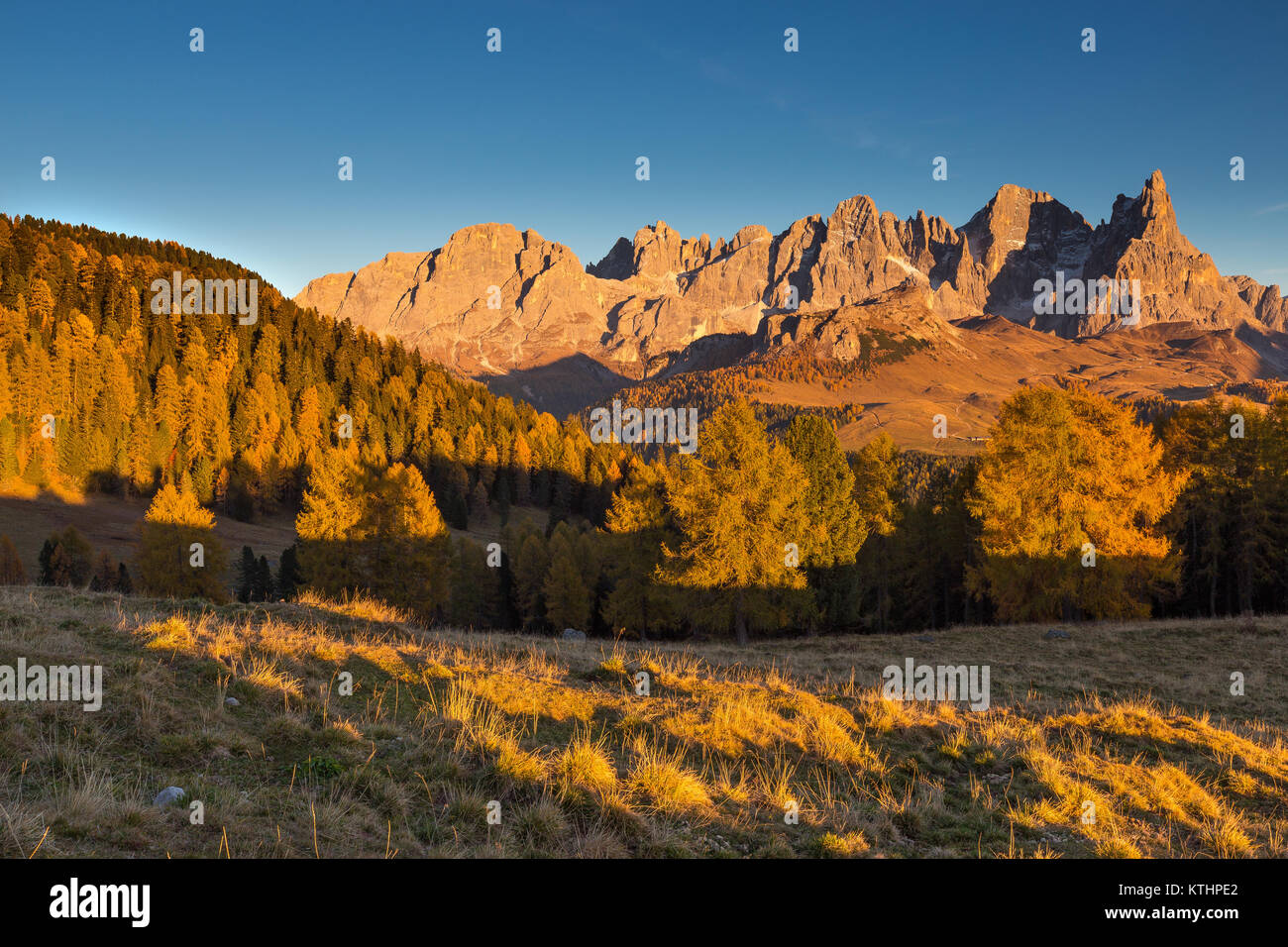 The Panveggio Pale di San Martino Natural Park. View from Malga Bocche. The Dolomites of Trentino. Sunlight in autumn season. Italian Alps. Europe. Stock Photo