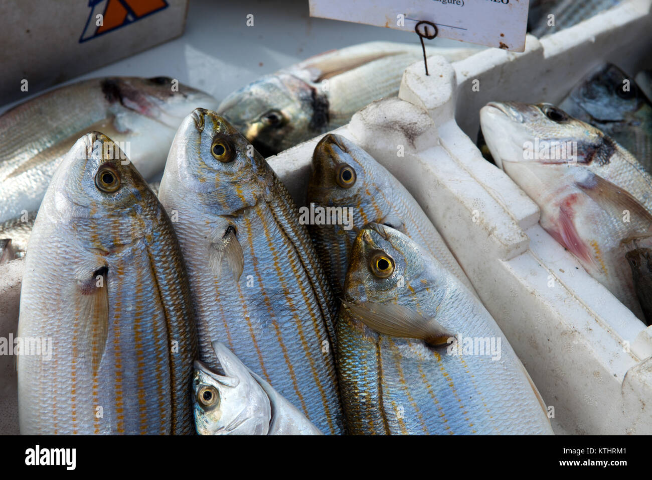 Fresh fish on ice on the market Stock Photo - Alamy