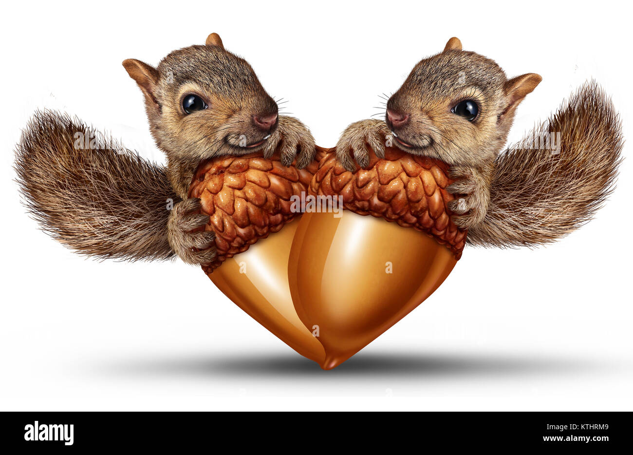 Cute animals in love as two adorable squirrels together with acorns shaped as a heart as a valentine or loving relationship symbol. Stock Photo