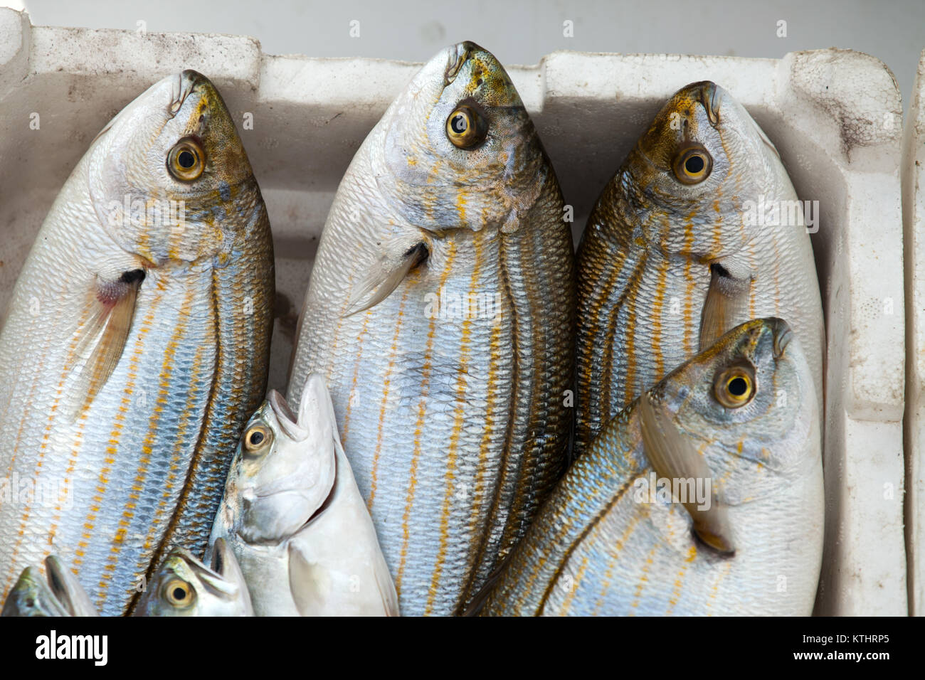 Fresh fish on ice on the market Stock Photo - Alamy