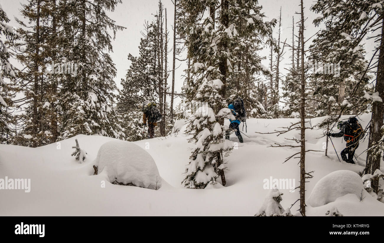 A snowshoe is footwear for walking over snow. Snowshoes work by distributing the weight of the person over a larger area so that the person's foot doe Stock Photo