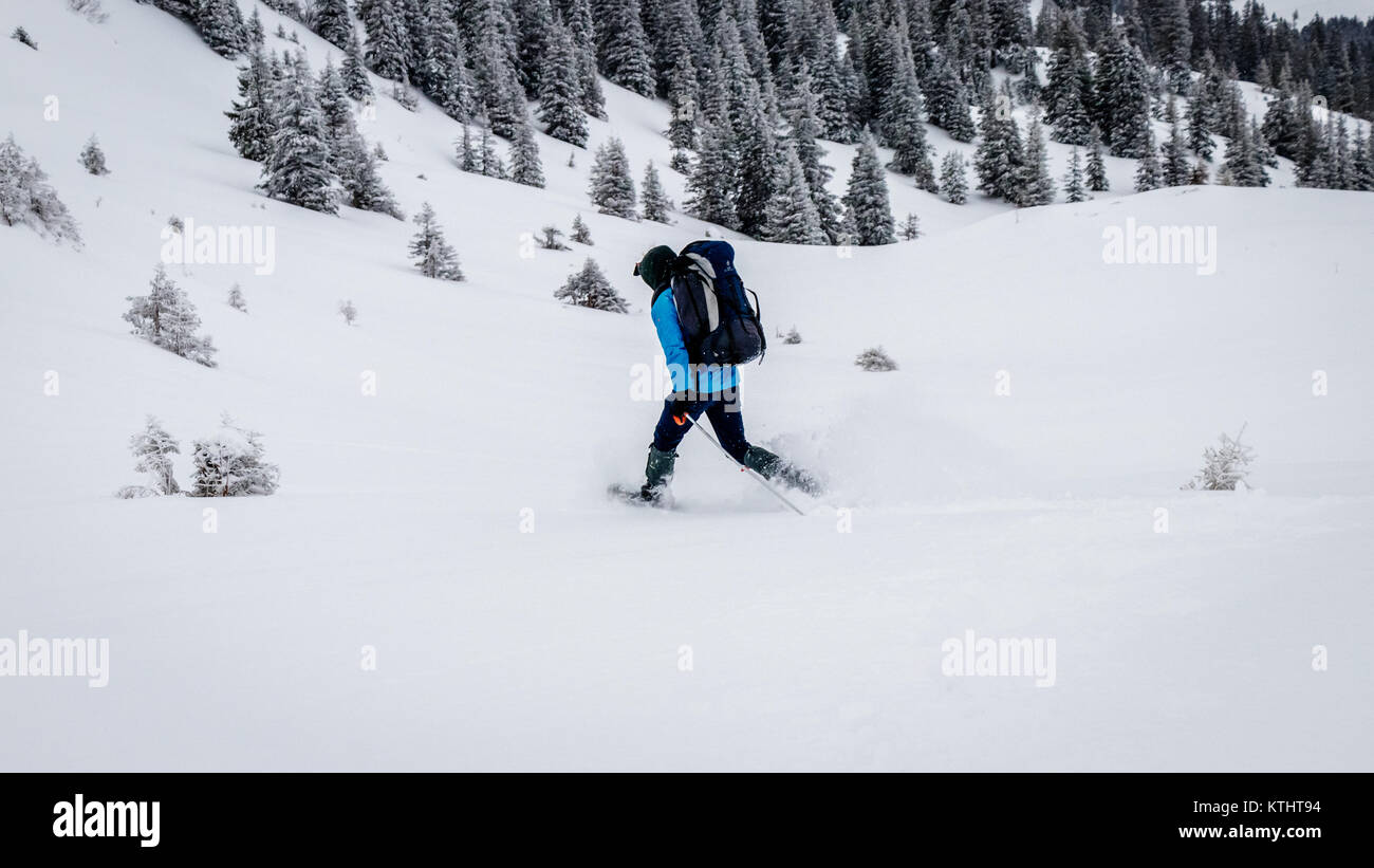 A snowshoe is footwear for walking over snow. Snowshoes work by