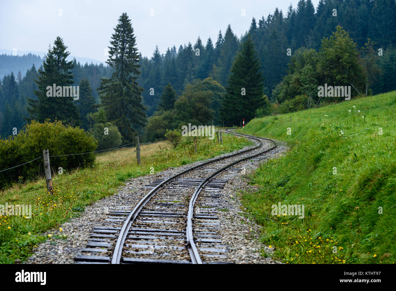 Wavy Train Track Rails wavy railroad tracks in wet summer day in forest with green meadow on ...
